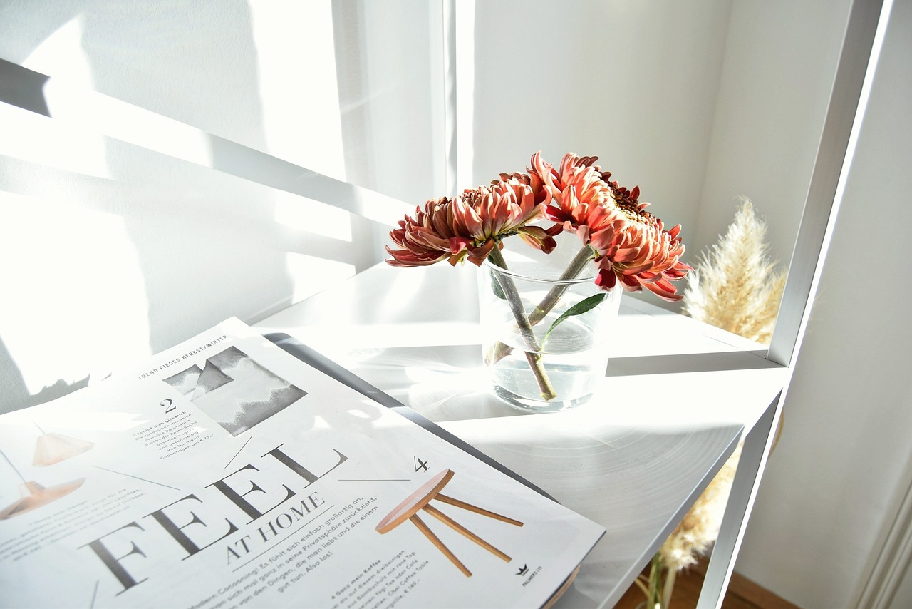 magazine, article, white